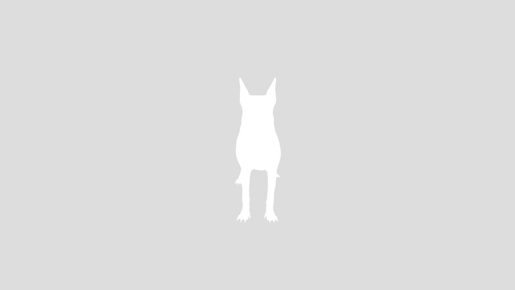 White Doberman Dog
