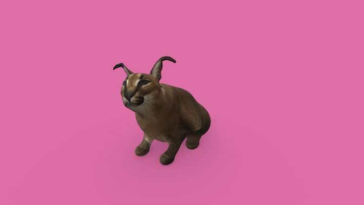 BIG FLOPPA 3D Model 3D Model