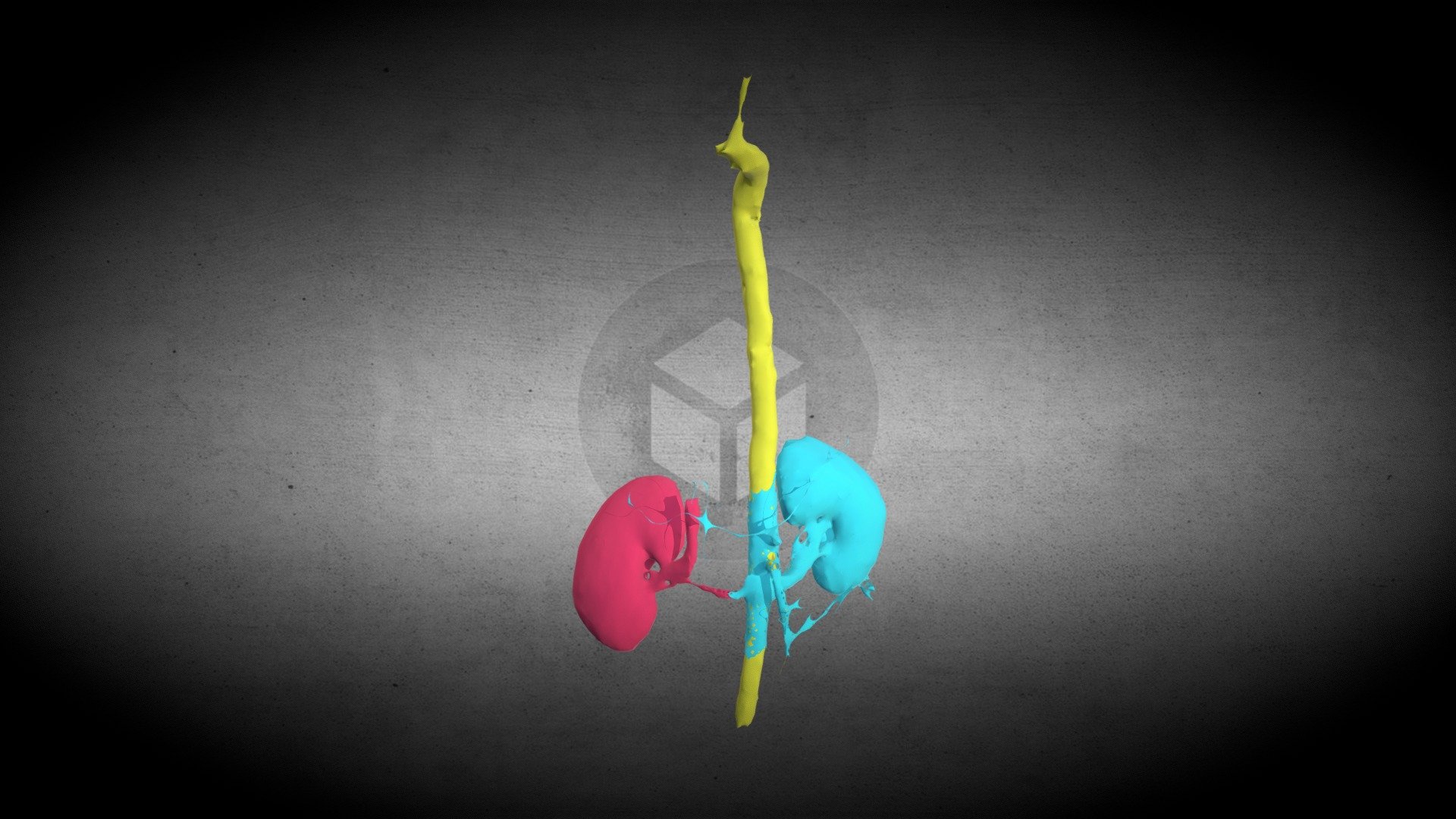 CTA cardio segmentation