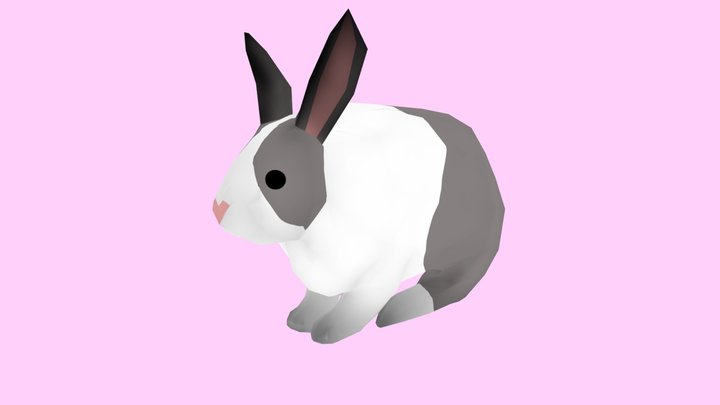 Rabbit 3D Model