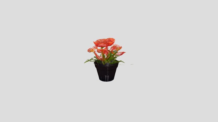 Flower pot (laser scan) 3D Model