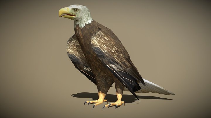 3DRT - birds and critters - eagle 3D Model