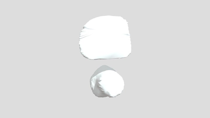Rectum & Bladder 3D Model