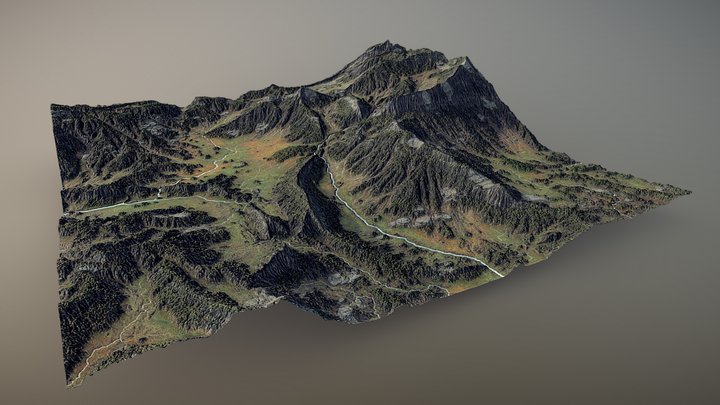 Curling Mountain Forest Terrain 3D Model