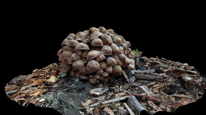Mushrooms – Modello 3D gratuito STL