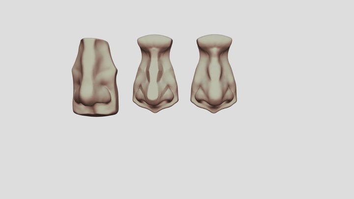 Nose Practice 3D Model