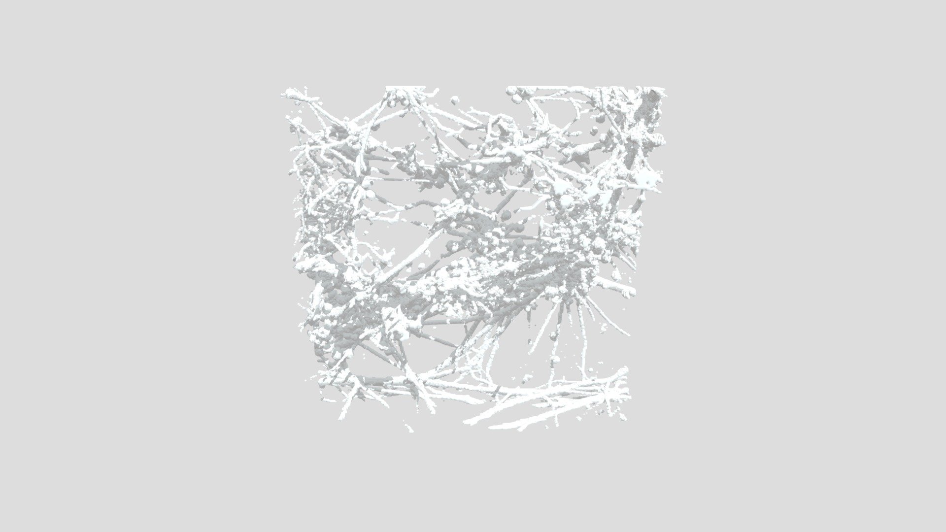 3D Neuron network (from human stem cells)