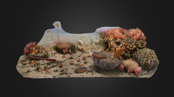 Diorama of Silurian Shallow Sea Life – Free 3D Model STL