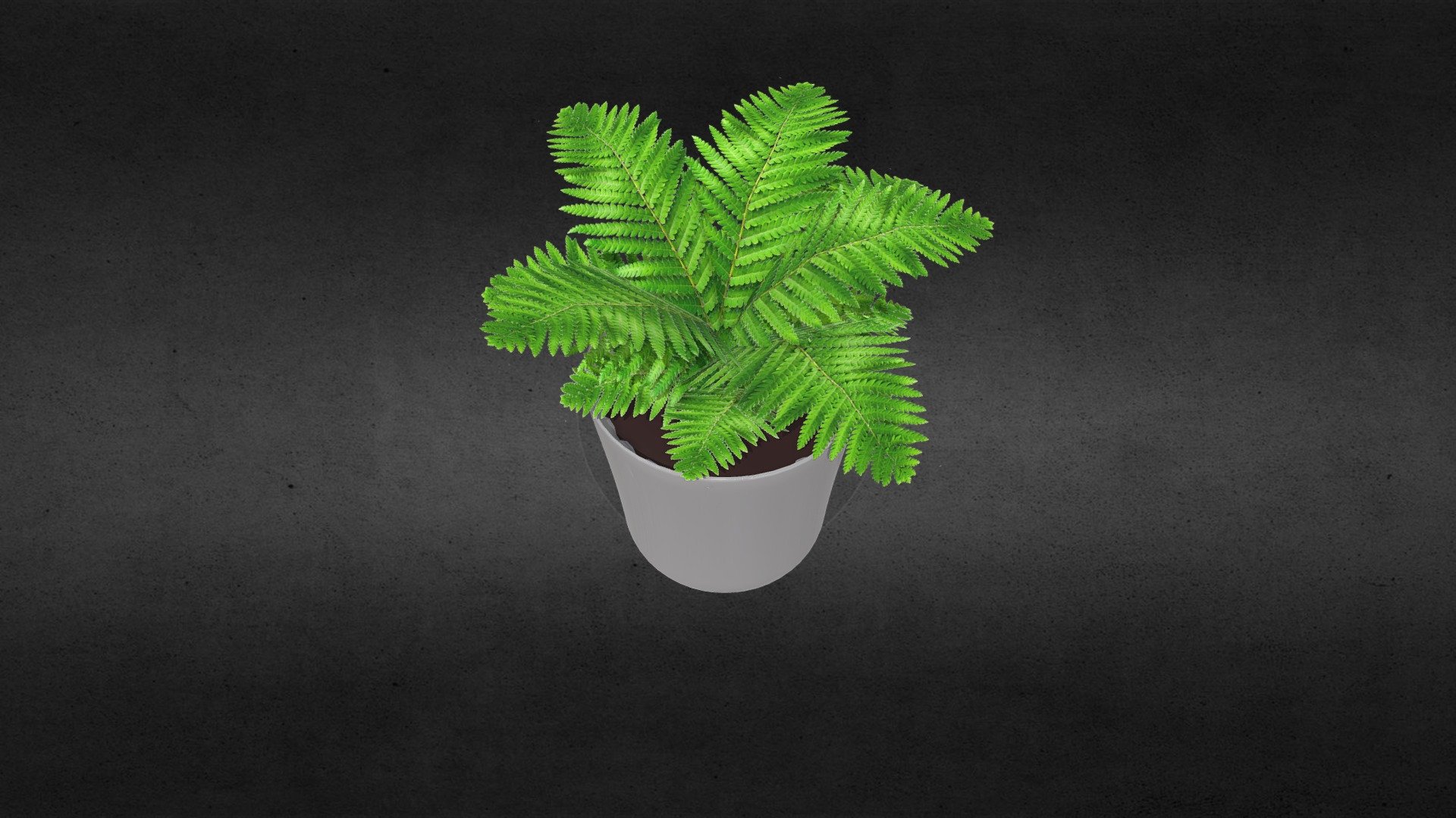 plant_1