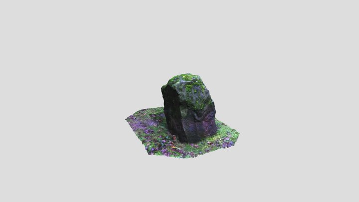 Mossy rock - Boston Park, Rotherham 3D Model