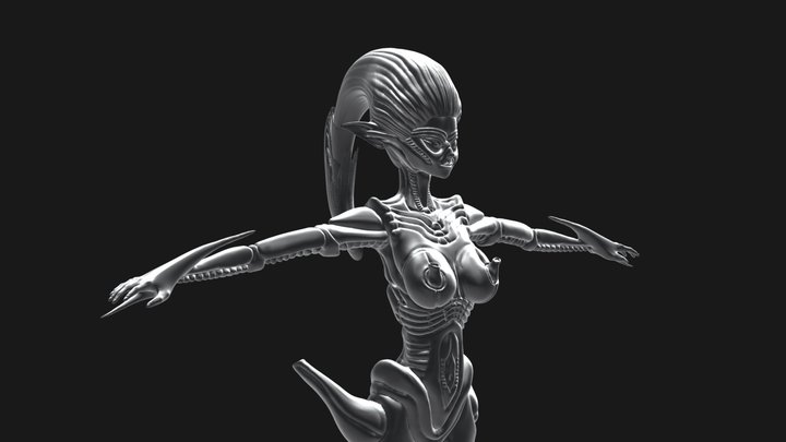 Biomechanic 3D Models - Sketchfab