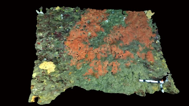 Cuevas 2 3D Model
