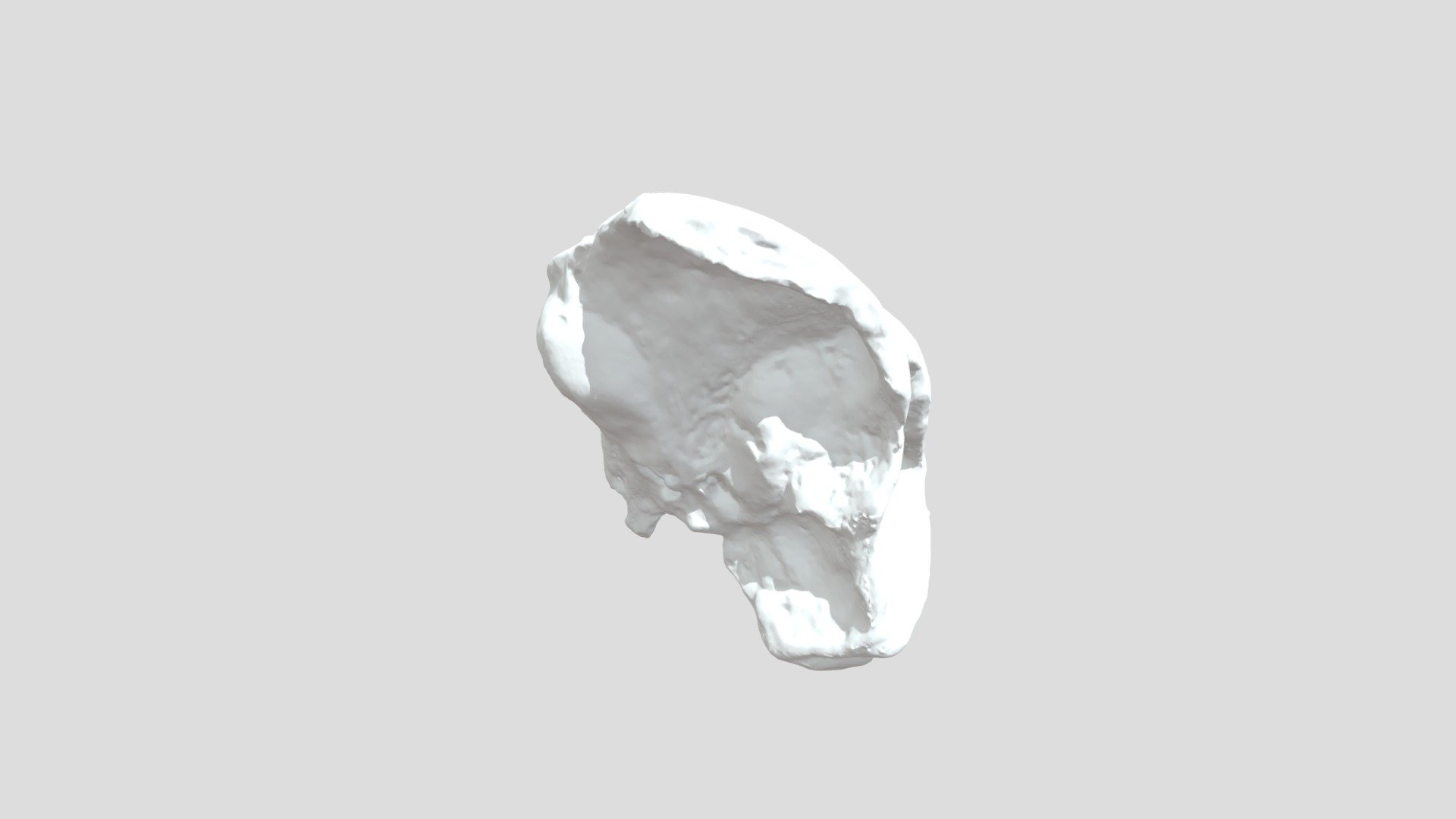 Taung Kid Agisoft Photoscan
