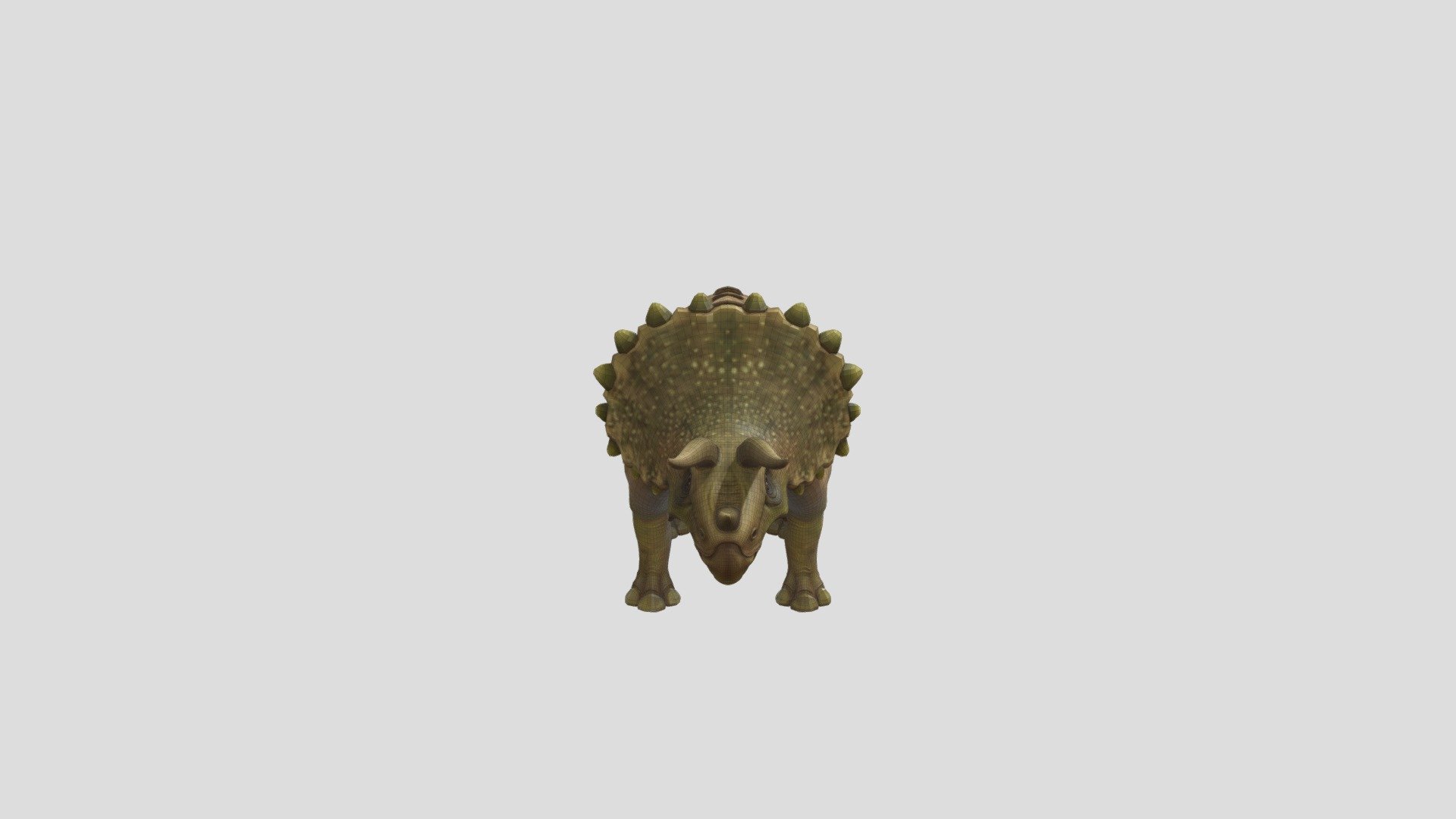 Triceratops