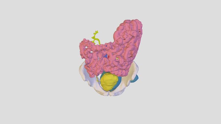 ALL 3D Model