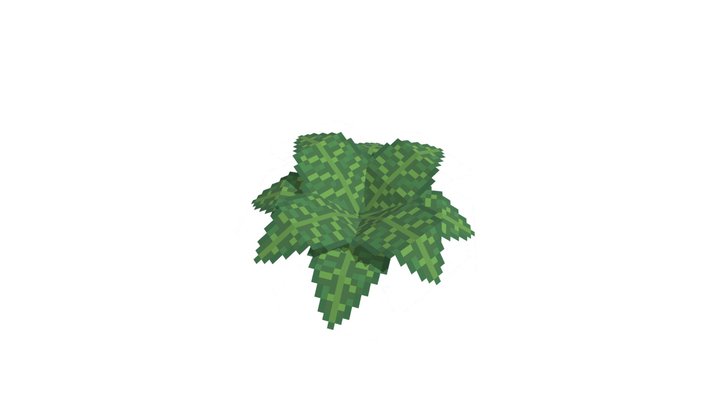 Jungle Fern 3D Model