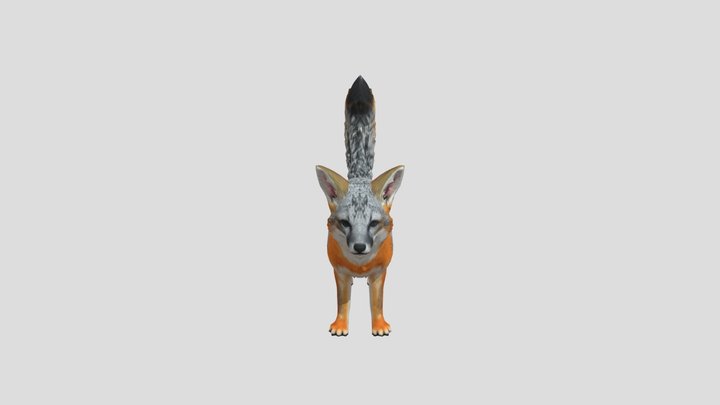 Island Fox 3D Model