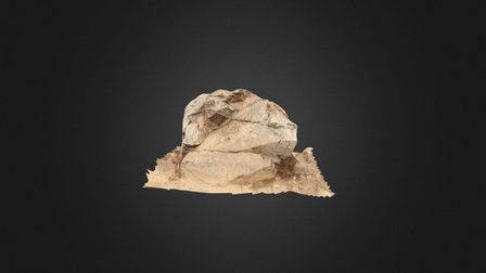 Tiburon Rock 3D Model