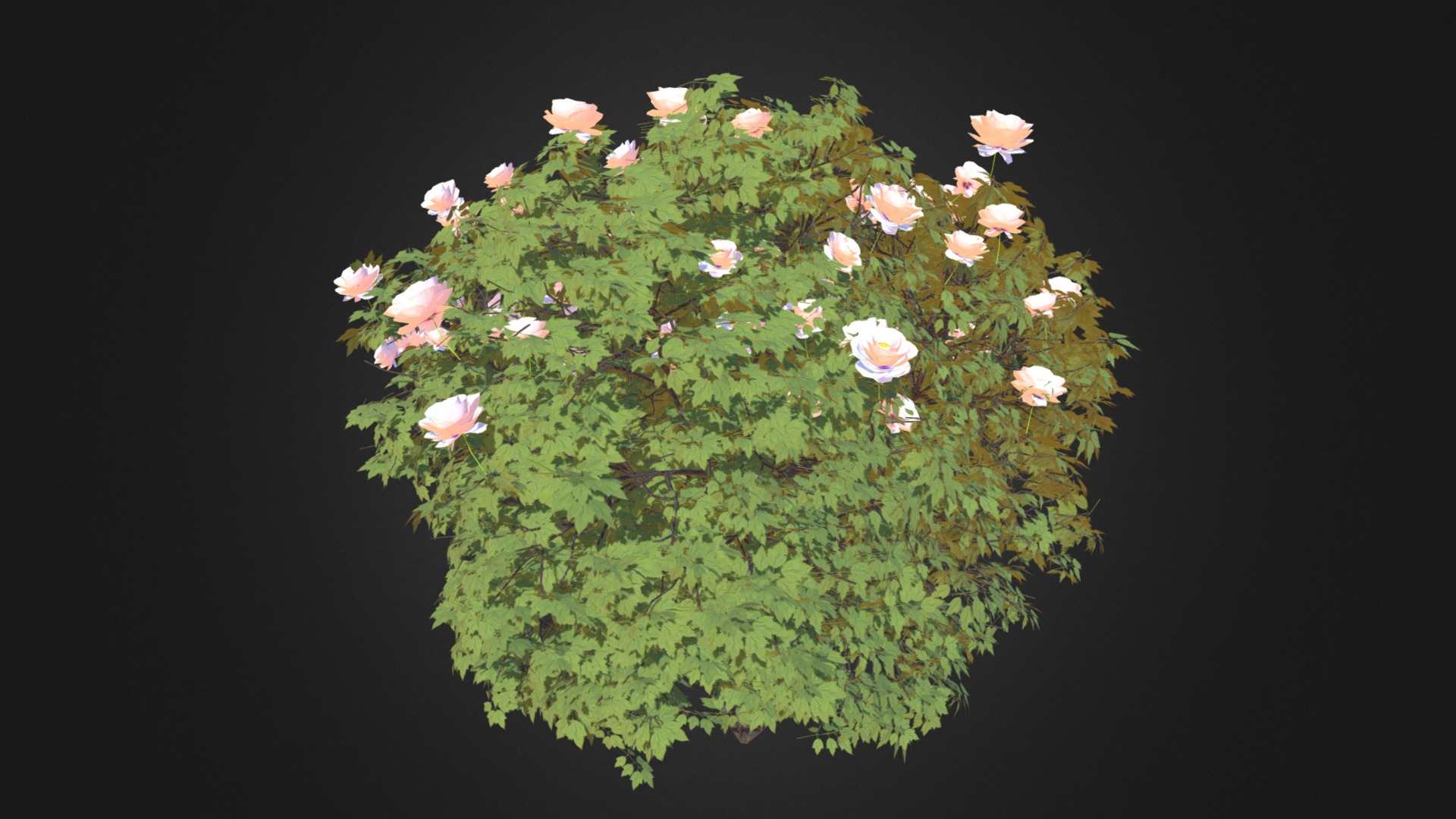 3D model Peony - This is a 3D model of the Peony. The 3D model is about a tree with pink flowers.
