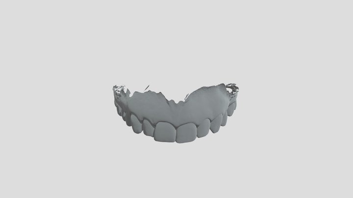 Superior Upper Jaw 3D Model