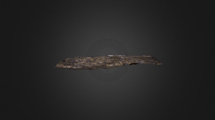 Shoe Print Test 3D Model