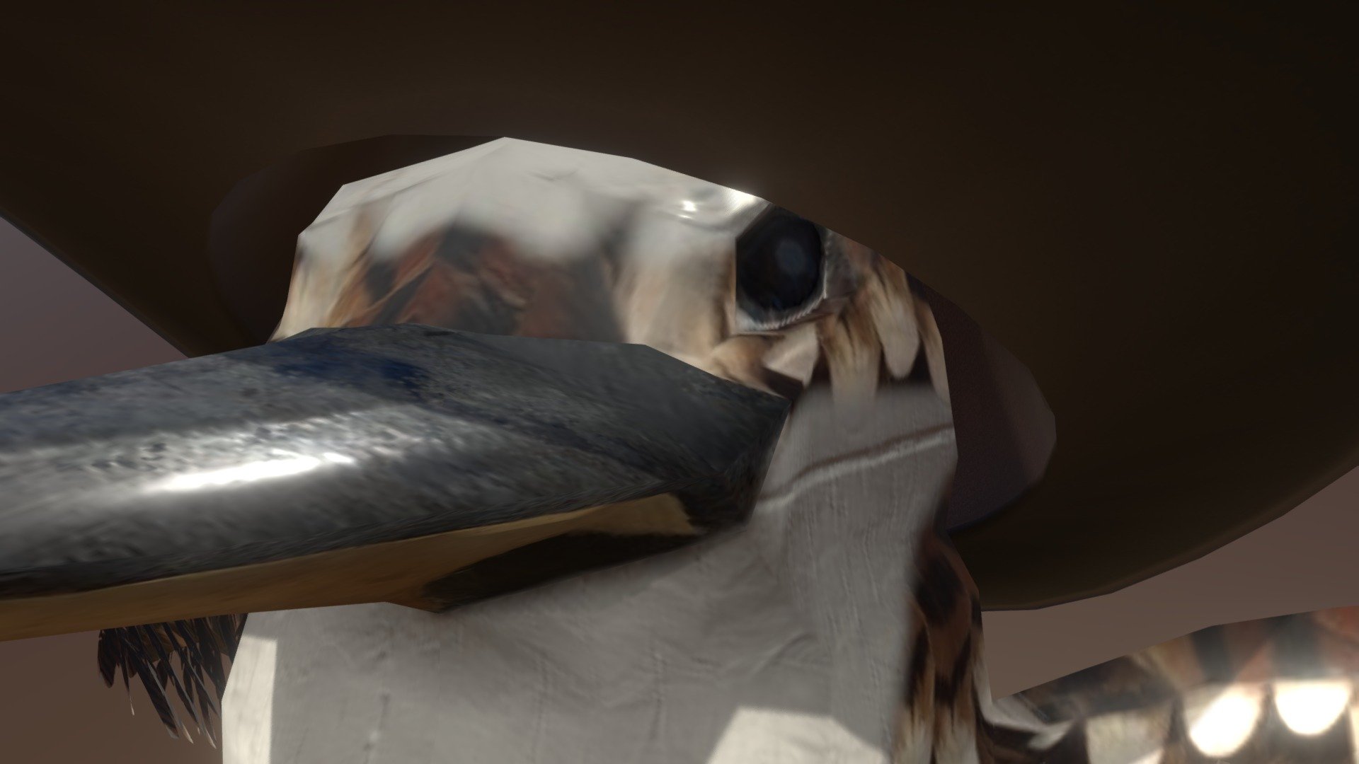 Cowboy bird