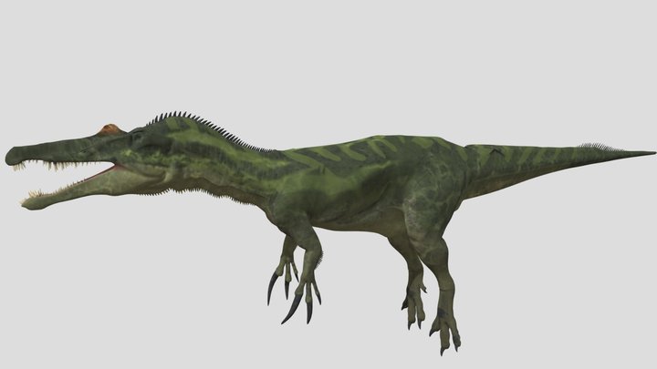 Baryonyx 2 3D Model