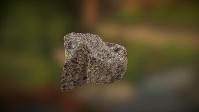 Coral Rock #1 3D Model