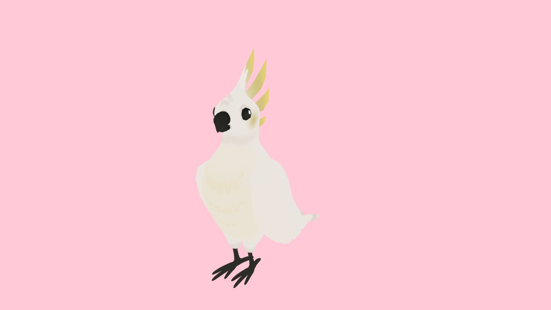 Sulphur-crested Cockatoo