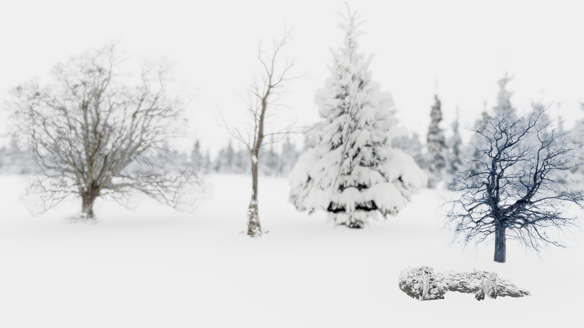 Snow Trees Pack LOWPOLY - Download Free 3D model by EFX (@evan4129 ...