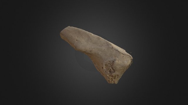 Clav Not All 3D Model