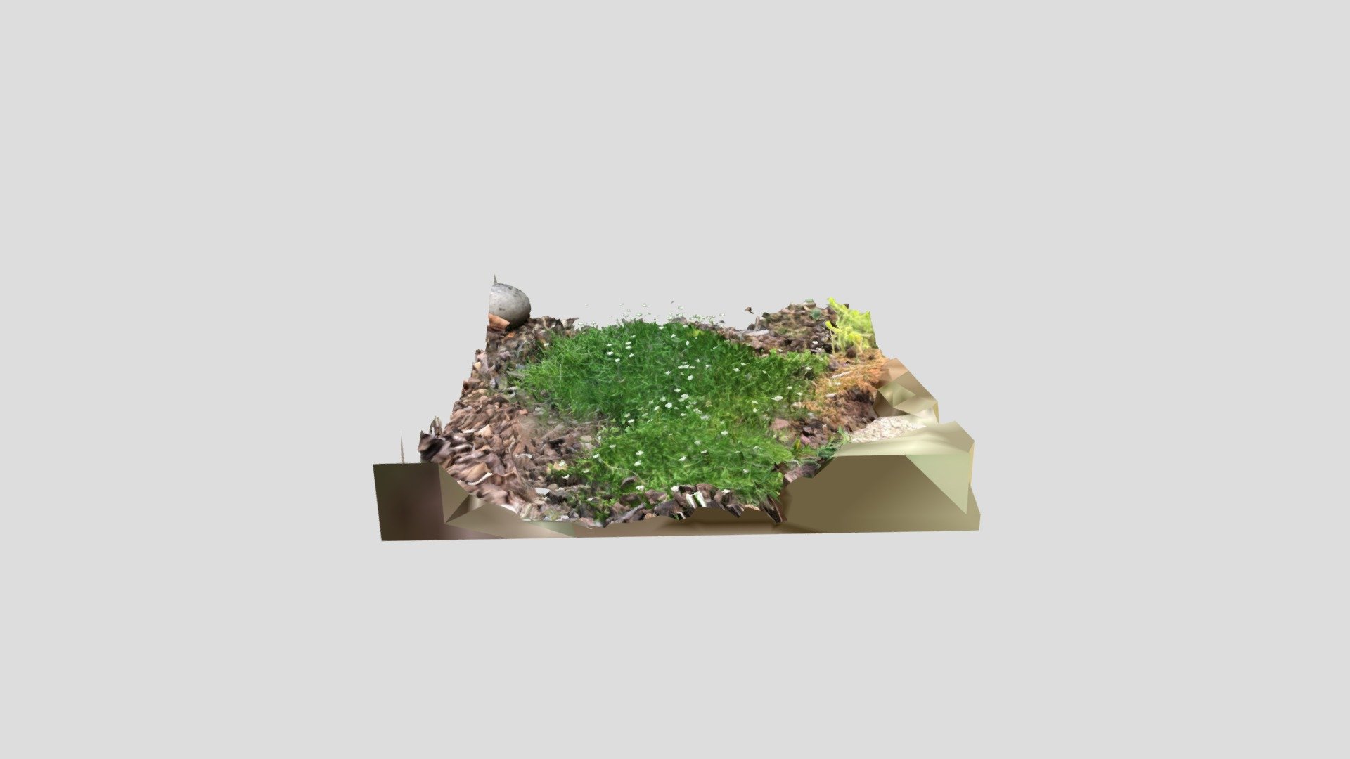 scotch moss - Download Free 3D model by JulieD (@jdunlop83) [892aff6 ...