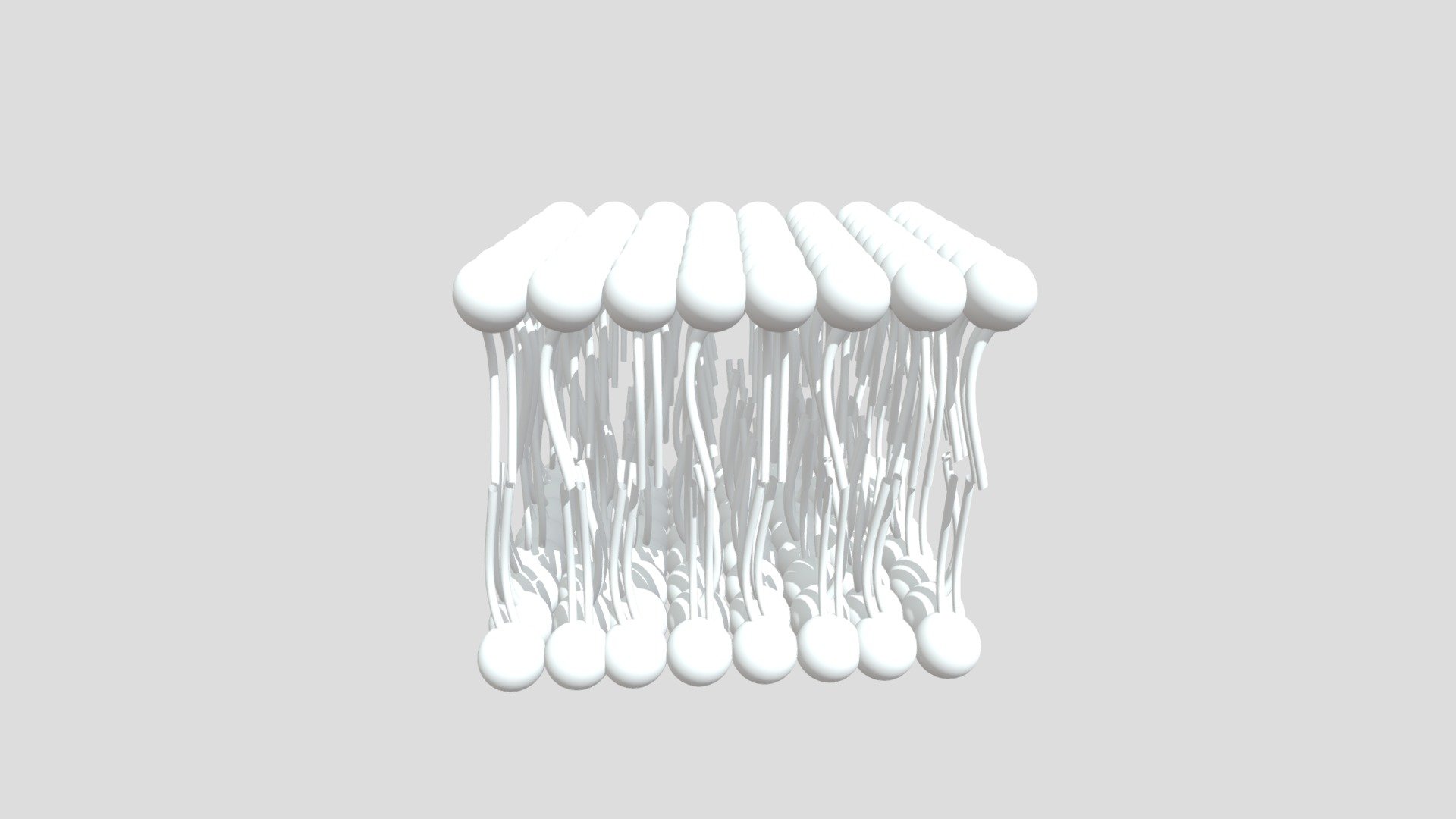 Biology work - Download Free 3D model by EricDonArthur [892b05b ...