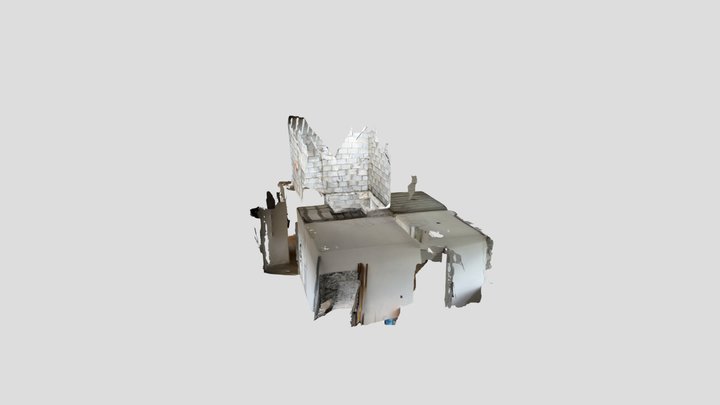 Untitled Scan 3D Model