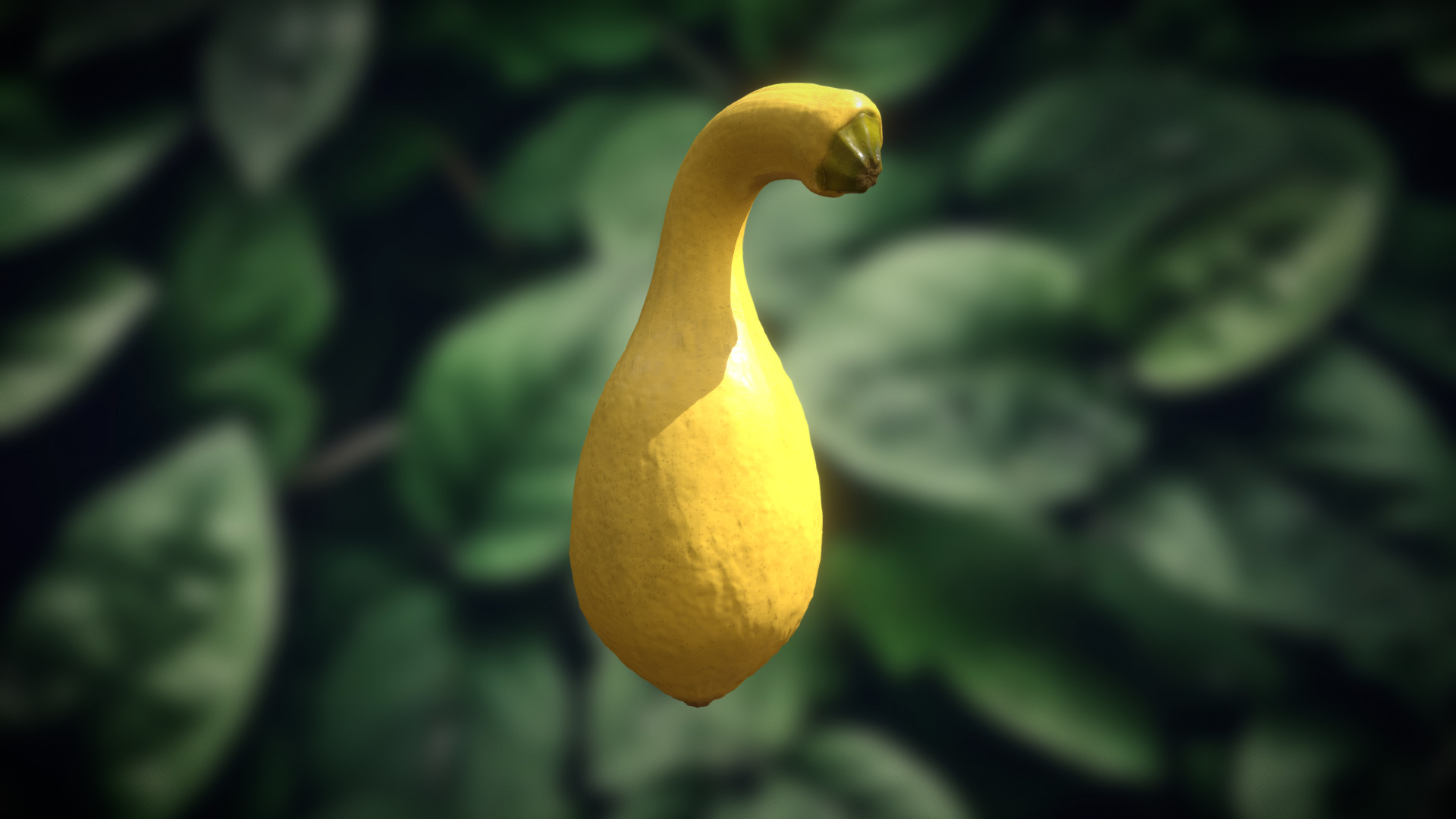 3D model Yellow Summer Squash - This is a 3D model of the Yellow Summer Squash. The 3D model is about a yellow vegetable on a plant.