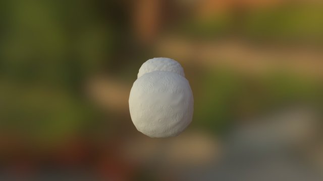 1025448059 3D Model