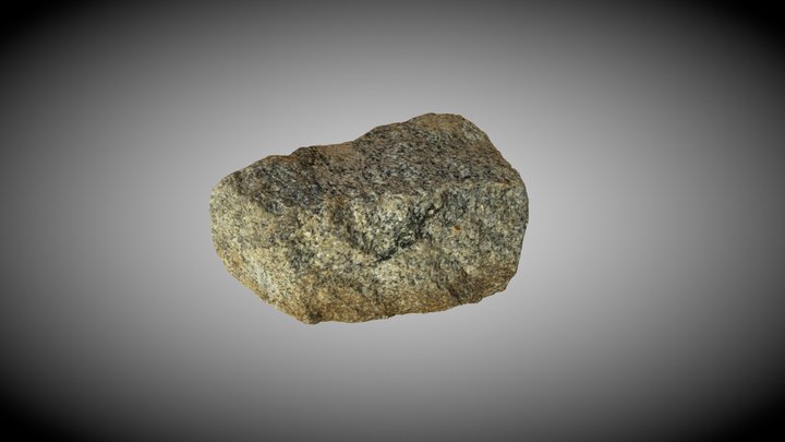 Back Yard Rock LOD0 3D Model