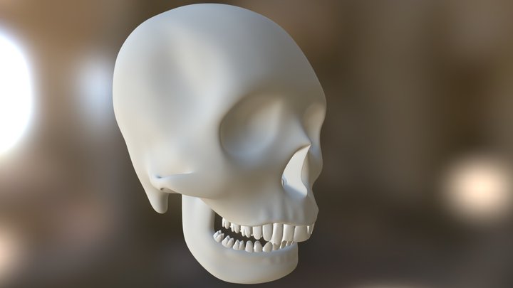 Dmcguire Skull 3D Model