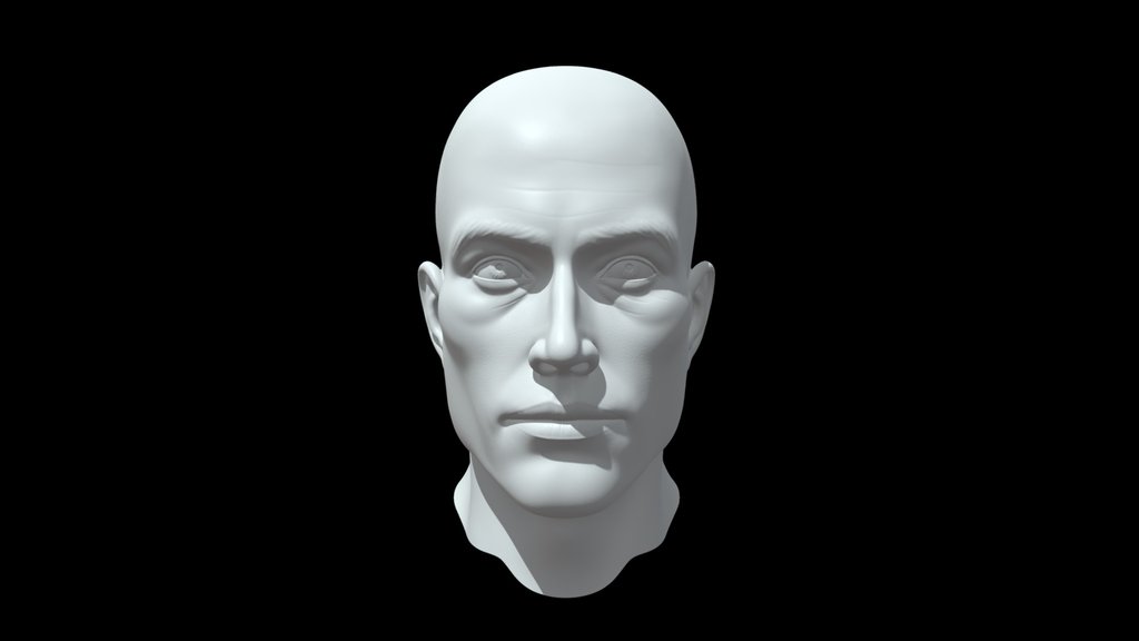Realistic Male head
