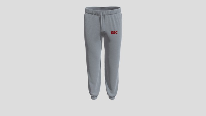 The Pants 3D Model