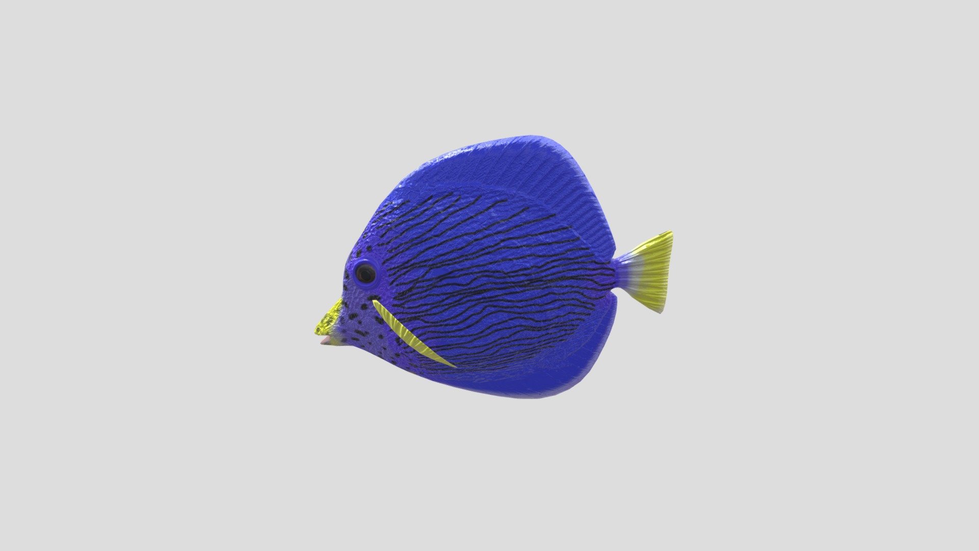 Fish