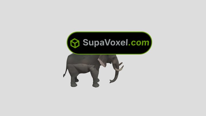 African Elephant - Hi3D vs Meshy AI vs SupaVoxel