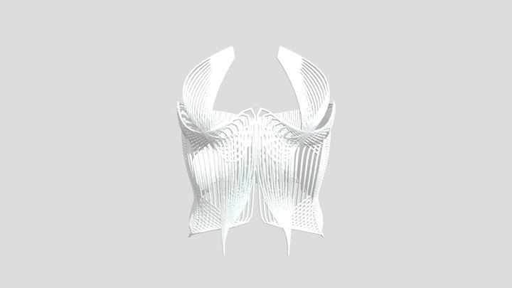 Corset Final Entero 3D Model