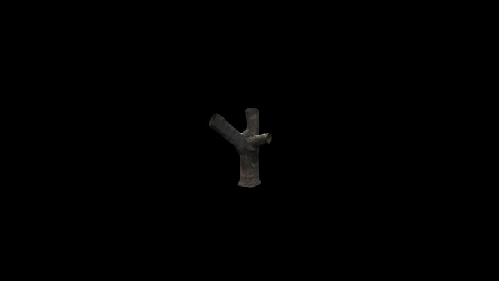 tree trunck 3D Model