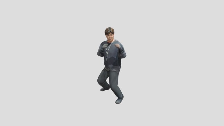 Combo Punch 3D Model