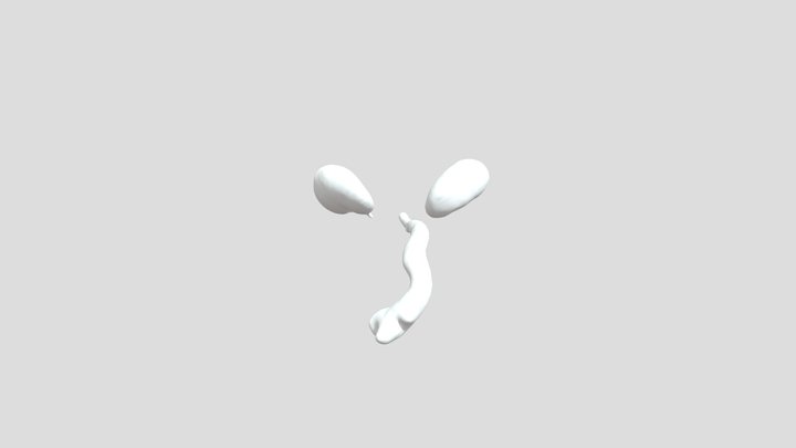 aorta & kidney 3D Model