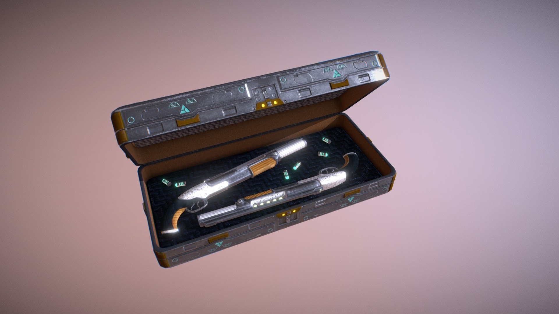 Shotgun in case