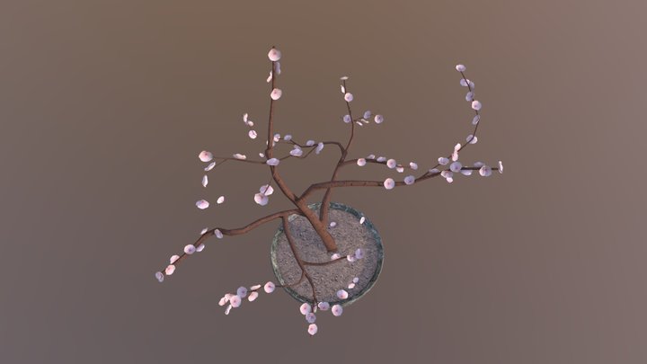 Cherry Blossom Bonsai 3D Model