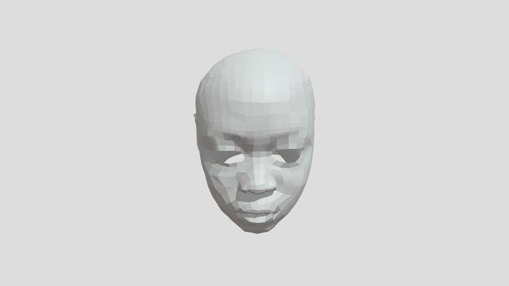 RETOPO FACE 3D Model