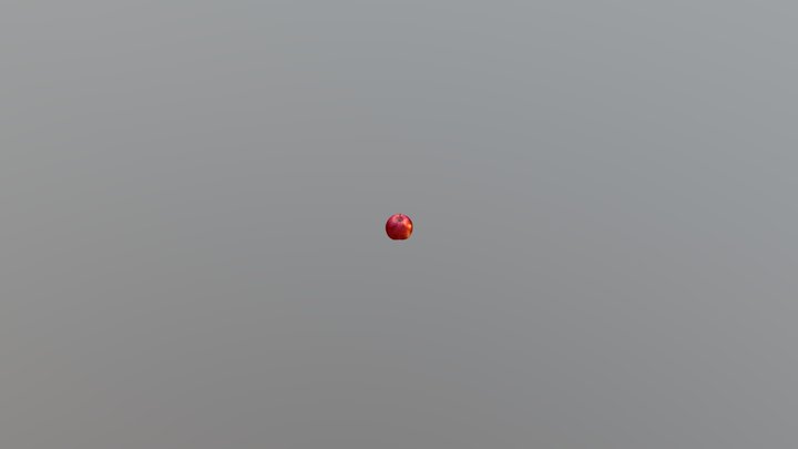 New Qlone 3D Model